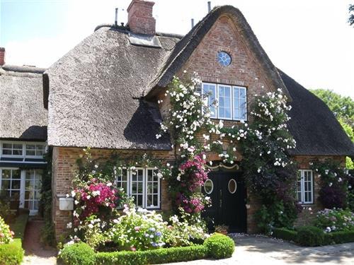 Ferienhaus - 4 Personen -  - Uasterjaat - 25938 - Borgsum