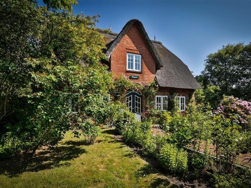 Holiday apartment - 4 persons -  - Wattweg - 25999 - Kampen