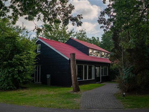 Feriehus - 12 personer -  - 9475TG - Midlaren