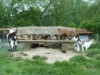Bild 33