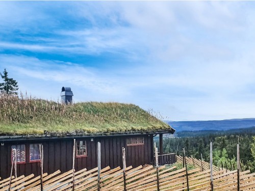 Holiday home - 7 persons -  - Bjørgavegen - Skeikampen - 2652 - Svingvoll