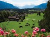 Bild 97