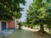 Afbeelding 29 - Ude