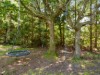 Billede 31