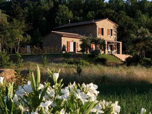 Fritidshus - 7 personer -  - Montescudaio - 56040