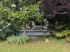 Image 29