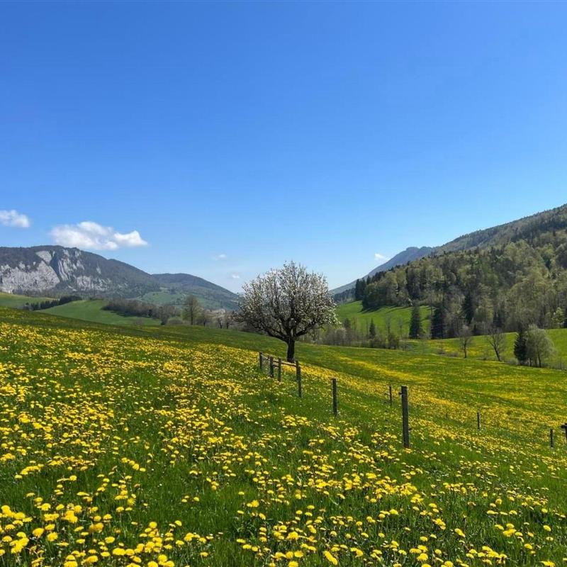 Ferielejlighed - 4 personer -  - Gänsbrunnen - 4716