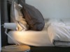 Bild 22