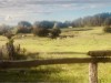 Bild 31