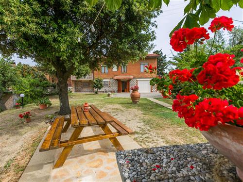 Holiday Home/Apartment - 8 persons -  - Volterra - 56048