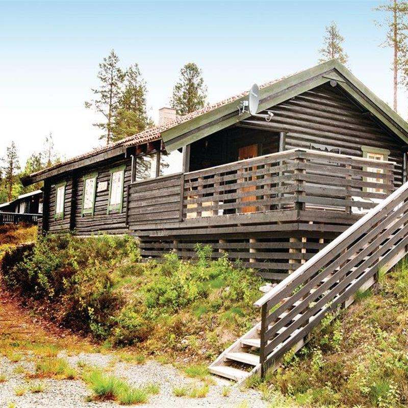 Sommerhus - 11 personer -  - Fjellkreklingen - Renåfjellet/Rendalen - 2485 - Rendalen