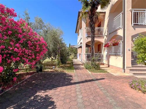 Ferieleilighet - 5 personer -  - Novigrad (Istra) - 52466