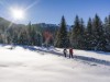 Bild 43