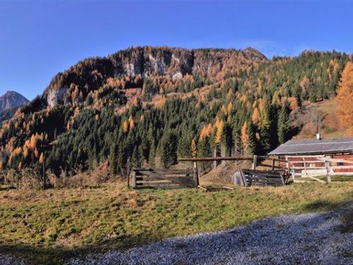 Holiday Home/Apartment - 14 persons -  - 5500 - Gasteinertal