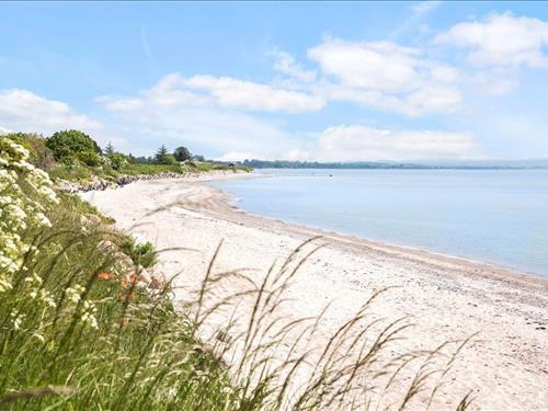 Ferielejlighed - 5 personer -  - Oddermose Strandvej 5 B - Oddermose Strand - 4780 - Stege