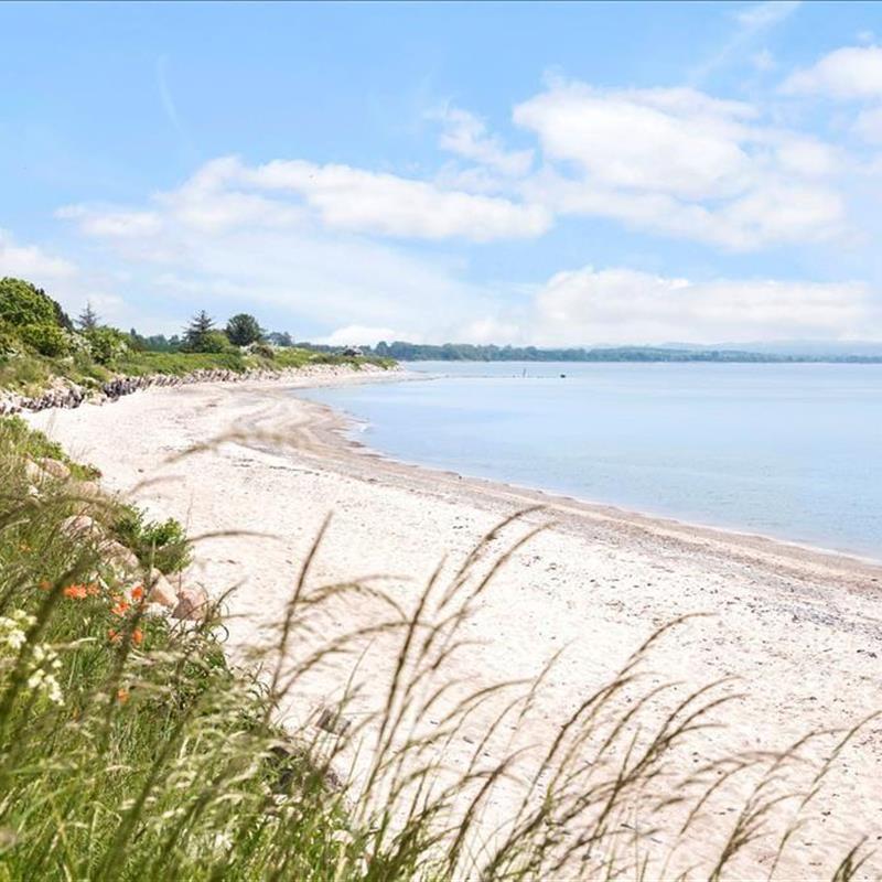 Ferienwohnung - 5 Personen -  - Oddermose Strandvej 5 B - Oddermose Strand - 4780 - Stege