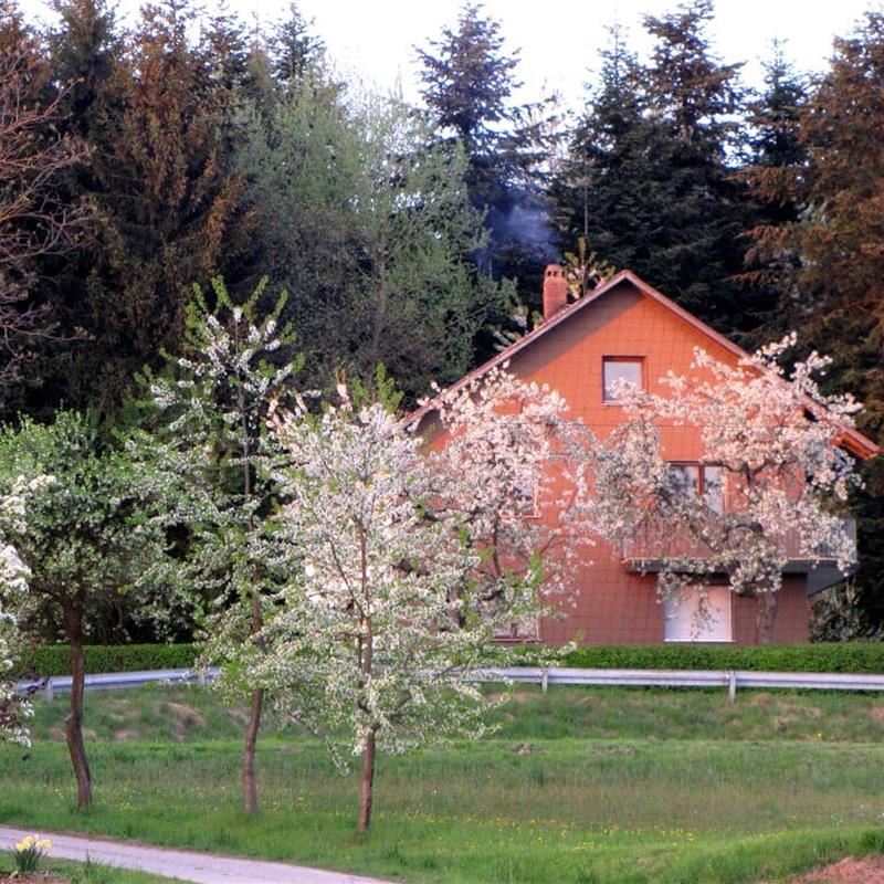 Ferielejlighed - 7 personer -  - Thann - 92431 - Neunburg Vorm Wald