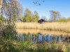 Bilde 26 - Utsikt