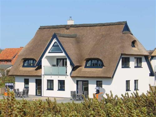 Sommerhus - 4 personer -  - Mitten in Vitte, direkt hinter der Düne - 18565 - Vitte/Insel Hiddensee