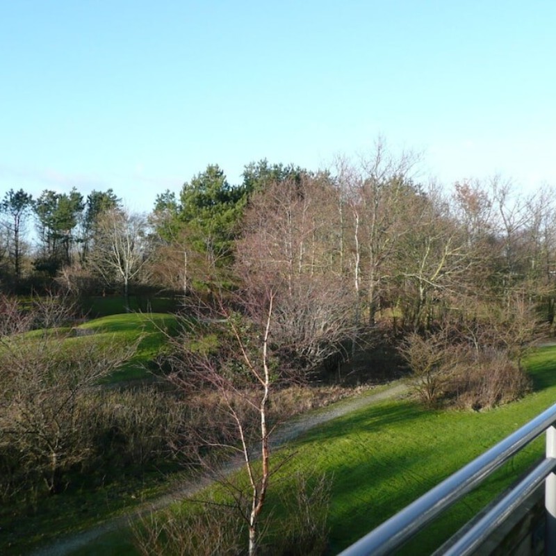 Sommerhus - 6 personer -  - 9161 CZ - Hollum Ameland