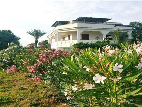 Ferieleilighet - 4 personer -  - 91022 - Selinunte - Castelvetrano