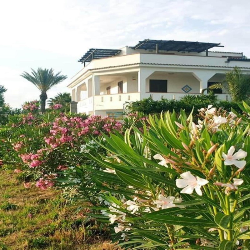 Ferielejlighed - 4 personer -  - 91022 - Selinunte - Castelvetrano (Tp)