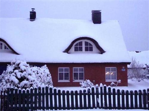 Ferielejlighed - 4 personer -  - Haffstraße - 17375 - Mönkebude