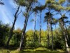 Bild 17
