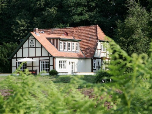 Ferielejlighed - 1 person -  - Bockelkathener Straße - 21379 - Lüdersburg