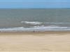 Image 20
