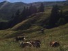 Bild 23