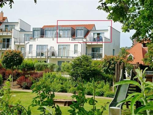 Ferielejlighed - 4 personer -  - Heimweg - 17454 - Zinnowitz