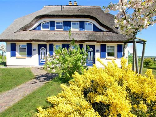 Feriehus - 6 personer -  - Am Hafen - 18586 - Mönchgut Ot Gager