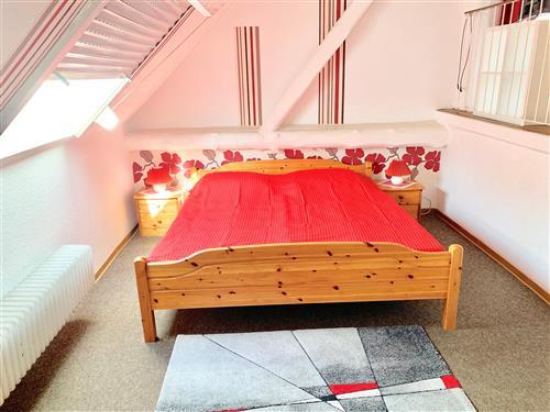 Ferielejlighed - 5 personer -  - Osterodener Weg - 49586 - Merzen