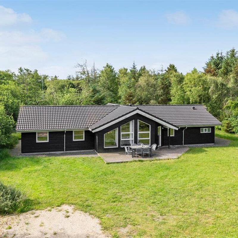 Ferienhaus - 12 Personen -  - Tyttebærstien - Thorup - 9690 - Fjerritslev