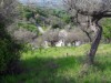 Image 17 - Outside