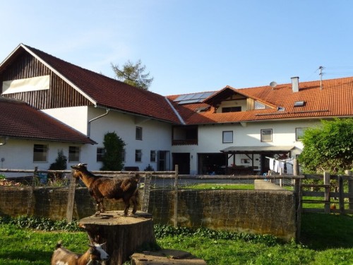 Sommerhus - 9 personer -  - 87653 - Eggenthal