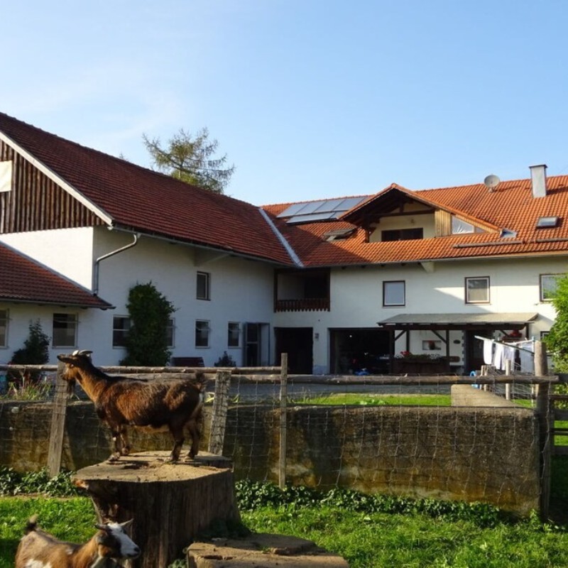 Sommerhus - 9 personer -  - 87653 - Eggenthal