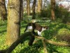 Bild 17