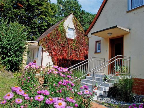 Ferieleilighet - 3 personer -  - Igelbau - 18586 - Baabe (Ostseebad)