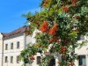 Bild 24 - Ude