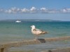 Bild 22