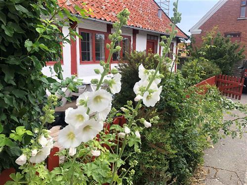 Sommerhus - 6 personer -  - Gaden - 3740 - Svaneke