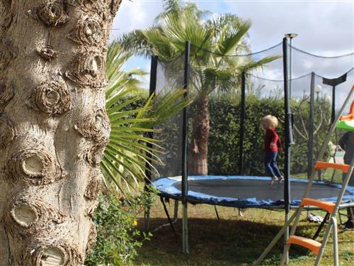 Ferielejlighed - 2 personer -  - Marsala - 91025