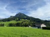 Bilde 22 - Ude