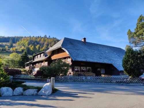 Holiday home - 10 persons -  - 79837 - St.Blasien \/ Menzenschwand