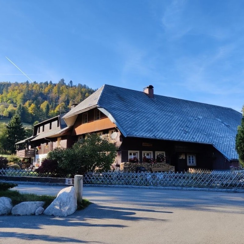 Sommerhus - 10 personer -  - 79837 - St.Blasien \/ Menzenschwand