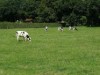 Bild 22