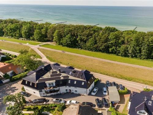 Sommerhus - 4 personer -  - 18374 - Zingst