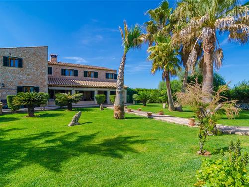 Villa - 10 persons -  - 07209 - Son Mesquida (Felanitx),